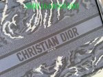 Christian Dior Bags Bags -    294 For Cheap