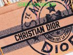 Christian Dior Bags Bags -    293 For Cheap