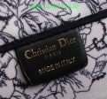 Christian Dior Bags Bags -    195 Supply