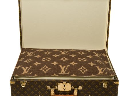 LOUIS VUITTON Customized Bisten 60 Dog Kennel for small dog in brown canvas For Discount