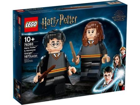 76393 LEGO HARRY POTTER HARRY & HERMIONE Discount