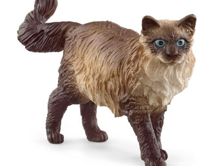 13940 SCHLEICH RAGDOLL CAT Sale